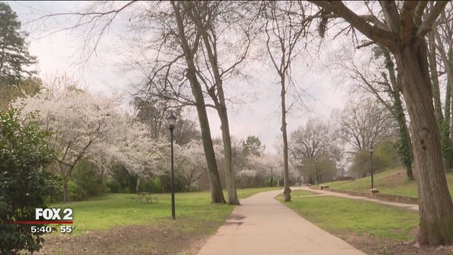Spring has sprung, and so have the sniffles - what to do about pollen season