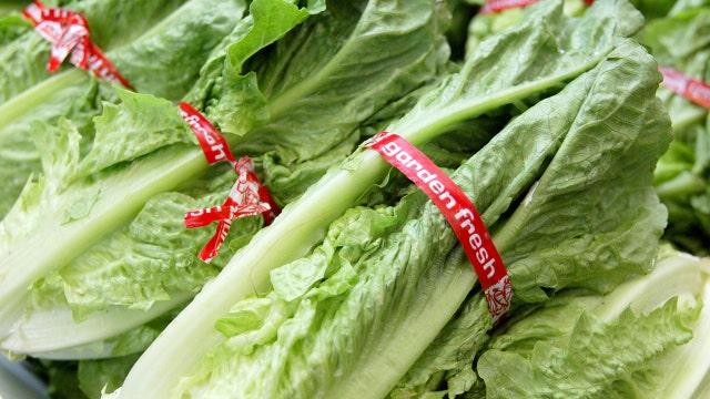 Romaine calm: Lettuce warning looms over Thanksgiving dinner