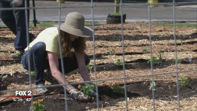 Gardening can be good for body and mind