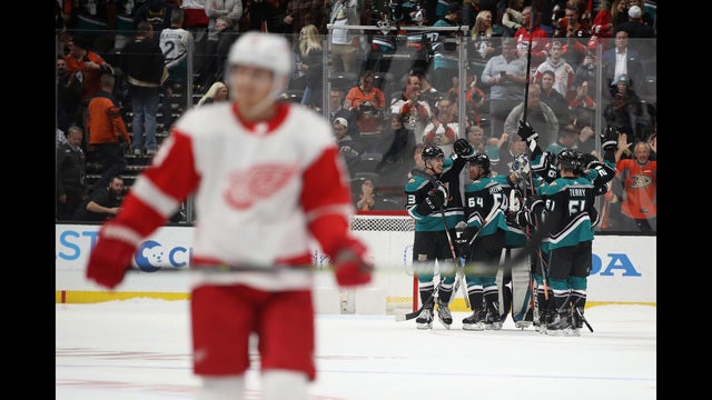 Ducks sneak past Wings 3-2 in shootout