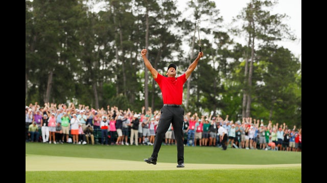 Tiger's Journey: 11 years that felt like several lifetimes