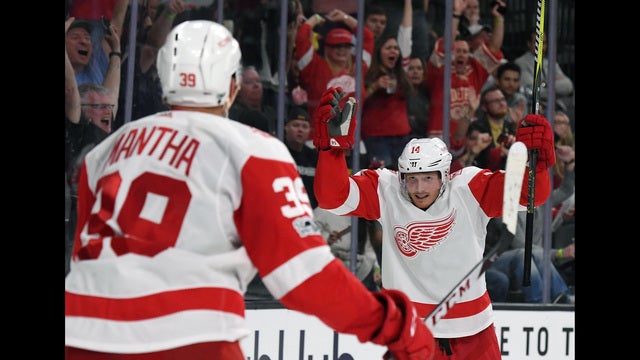 Nyquist has 2 goals, Red Wings rally past Golden Knights 6-3