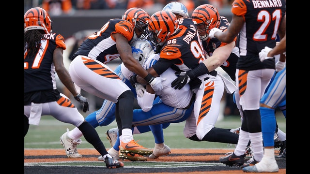 Bengals eliminate Lions from playoff contention 26-17