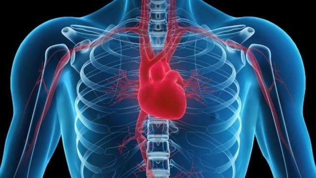 The Doctor Is In: A Healhty Heart