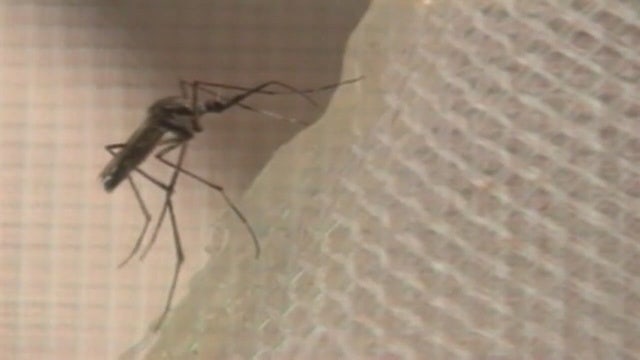 West Nile Virus case confirmed in Macomb County