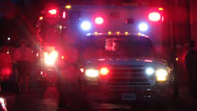 Woman, 2 dogs die in Novi condo fire