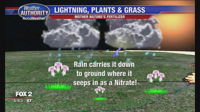 Lightning helps your grass grow. Wait, what?