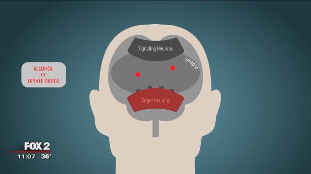 New treatment for opiate, alcohol addictions
