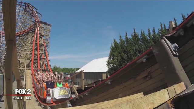 New way to cure kidney stones: rollercoasters