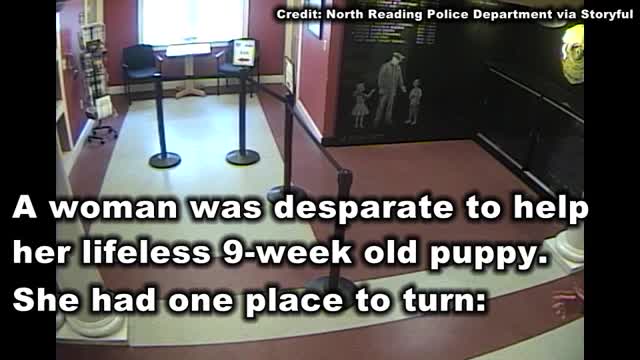 Police rush to rescue choking and lifeless puppy