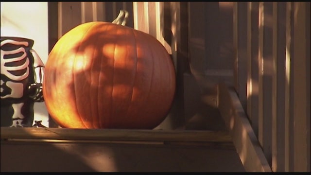 The surprising benefits of Pumpkins