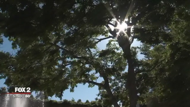 Dry heat vs. humidity: what's better for your body?