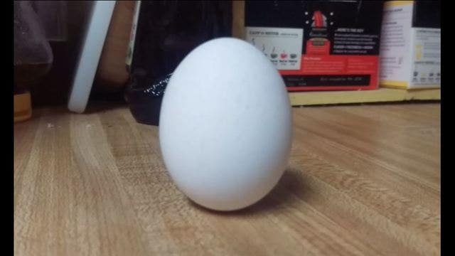 Yes, you CAN balance an egg on the equinox (and every other day)