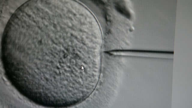 Couple forced to give up newborn twins after wrong embryos implanted in IVF mix-up, lawsuit claims