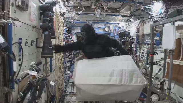 ISS astronaut has a little fun with a gorilla suit (and so do we)