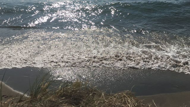 Two new exotic species have been identified in the Great Lakes