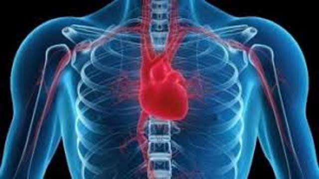 Prevent Heart Disease Now