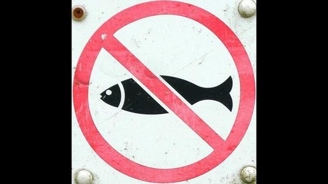 Advisory: Do not eat fish in Oakland, Livingston, and Washtenaw counties