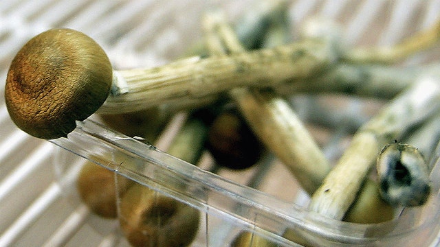 Ocasio-Cortez wants to make it easier to study magic mushrooms, other psychedelic drugs