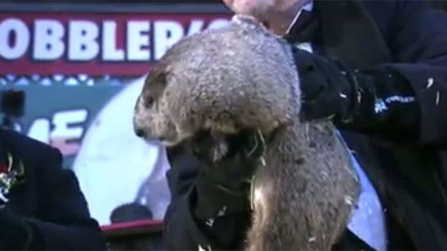 Groundhog Day: Punxsutawney Phil sees its shadow
