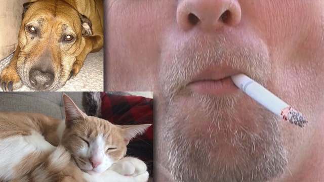 Smokers cause harm for animals beyond second-hand smoke