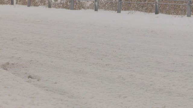 Wayne County man killed in northern Michigan snowmobile crash