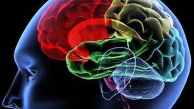 The Doctor Is In : Strokes