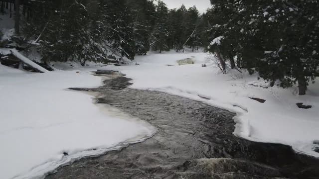 Logging company buys over half a million acres of Upper Peninsula timberland