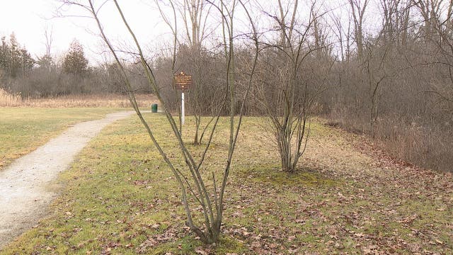 Is the unusual warm weather harming our trees?