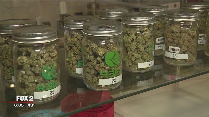 How Michigan Dispensaries Are Celebrating 420 FOX 2 Detroit how-michigan-dispensaries-are-celebrating-420-fox-2-detroit