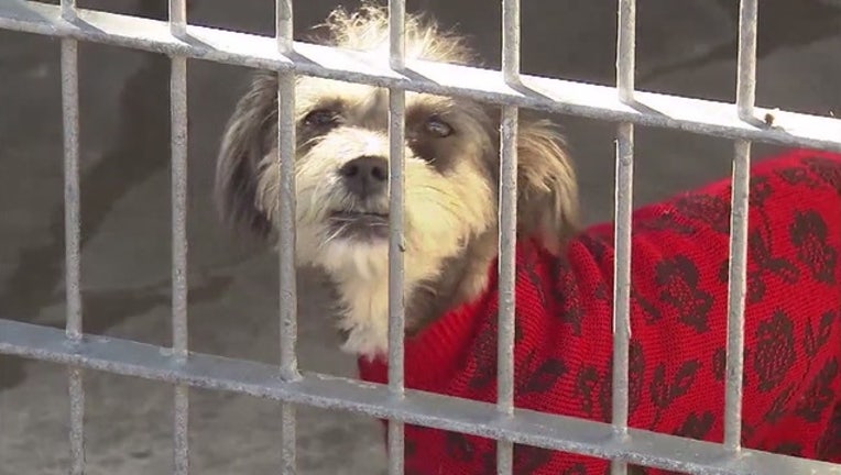 Animal_shelters__LA_County__0_20170712173539-407068