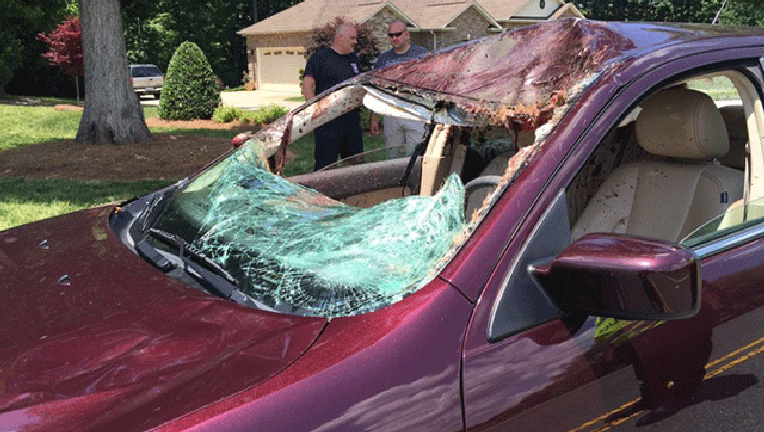 DEER-CRASH-PIC_1464985496354-403440.gif