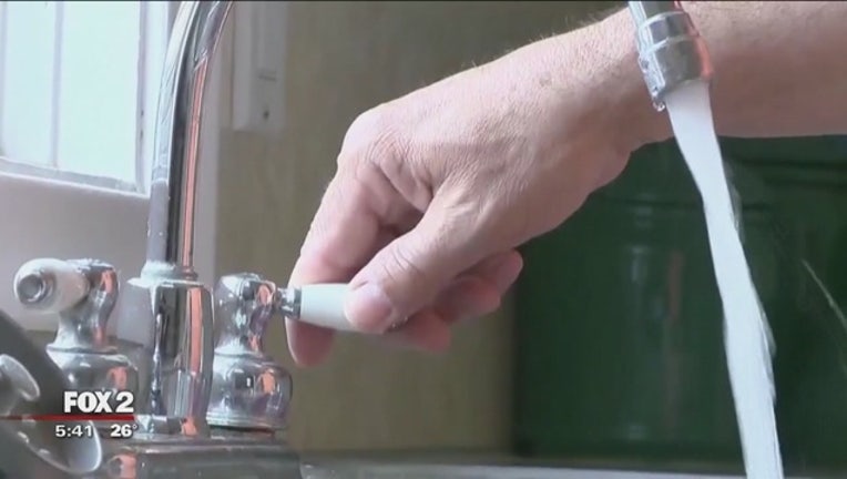 Effects_of_Flint_water_on_pregnant_mothe_1_20160123024333