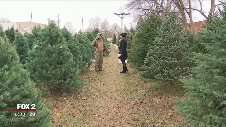 Family_Christmas_tree_farm_s_Livonia_lot_8_20181205021816