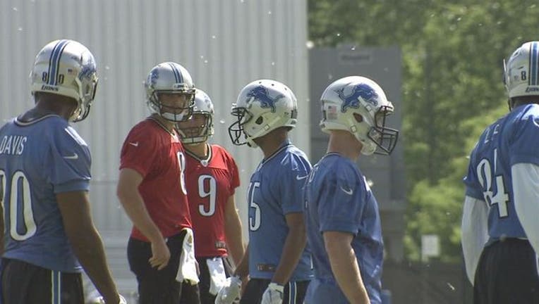 Lions OTA