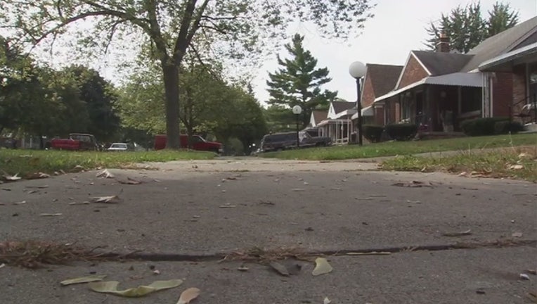 98e7d5dc-Teen_girl_shot_in_her_Detroit_driveway_0_20150925212440