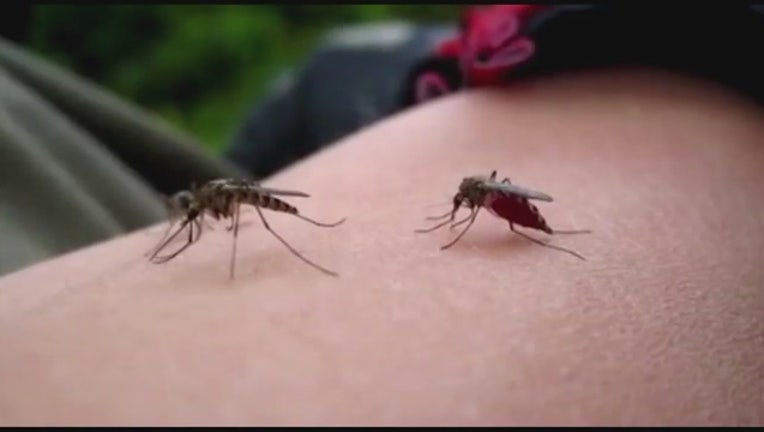 West_Nile_virus_found_in_Wayne_County____0_20150826222431