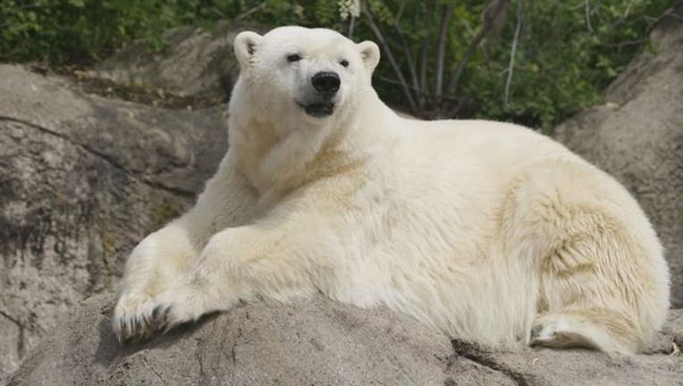 9f9b164c-Zoo_1466897073286.jpg