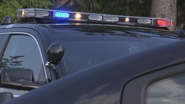 generic police lights_1531315779452.jpg.jpg