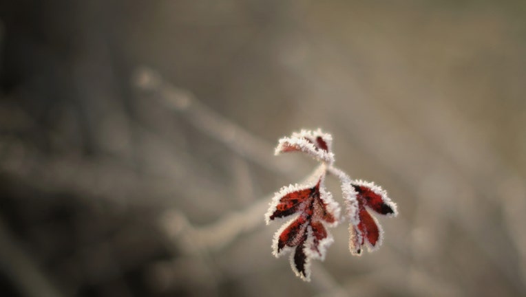 37d68ddc-93907914_1539623282982