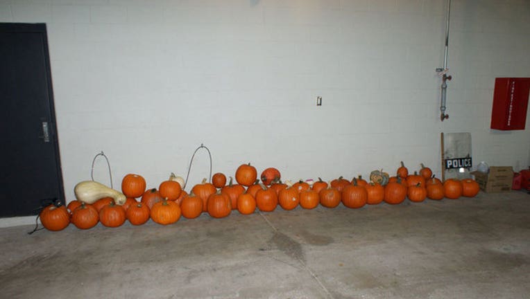 c05de735-pumpkin-bkgd_1509017315382.jpg