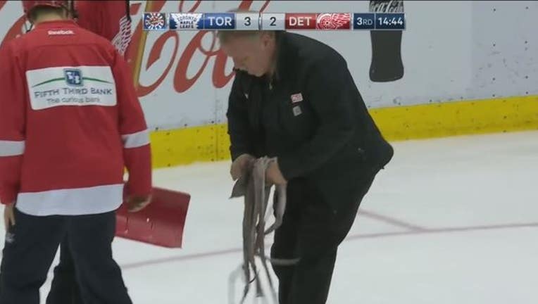 876d1b11-red wings octopus_1491599244142.JPG