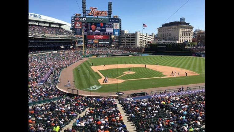 tigers in comerica_1464021630403.jpg