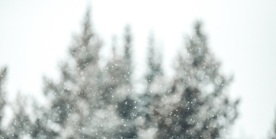 Southeast Michigan's 1st major snowfall arrives this weekend: Here's what to expect