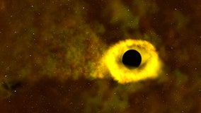 Planet-hunting NASA satellite captures a star being ripped apart by a black hole
