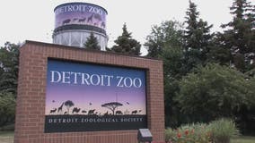 Recycle old electronics and get free admission to the Detroit Zoo