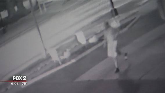 Campaign signs of Livonia council candidate stolen on camera