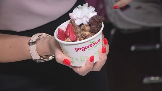 Fresh and tasty frozen yogurt at Yogurtown in Allen Park