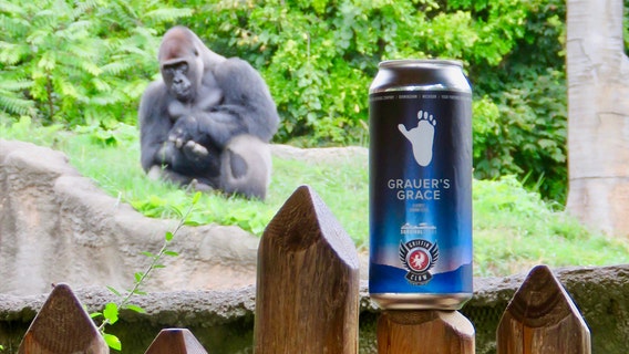 Griffin Claw Brewing releases banana stout beer, highlighting gorilla conservation at Detroit Zoo