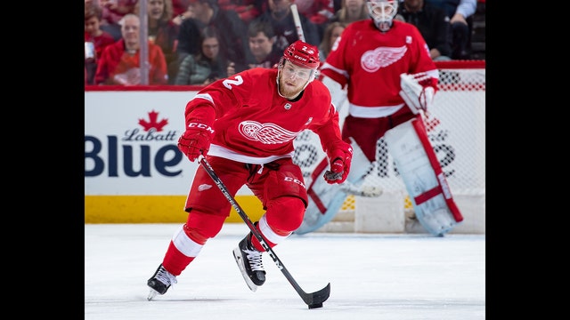 Red Wings re-sign D Joe Hicketts to 2-year deal